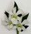 Create a Custom Dendrobium Orchid Boutonniere