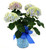 Blue Hydrangea