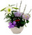 Easter Lily & Blue Hydrangea Planter