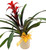 Bromeliad Planter - Small