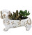 Long Dog Succulent Planter