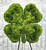 3D four-leaf clover funeral flower tribute with green chrysanthemums