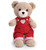 Plush Valentine's Day Bears