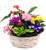 Sweetheart Blooming Garden Basket