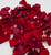 Red Rose Petals