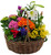 Easter Joy Garden Basket