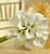 White Mini Calla Lily Bouquet