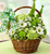 St. Patrick's Day Flower Basket