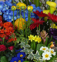 Seasonal Garden Planter