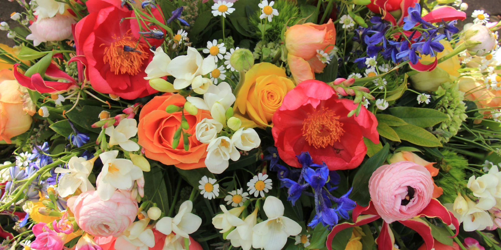 eagle-creek-hero.jpg eagle-creek-hero.jpg