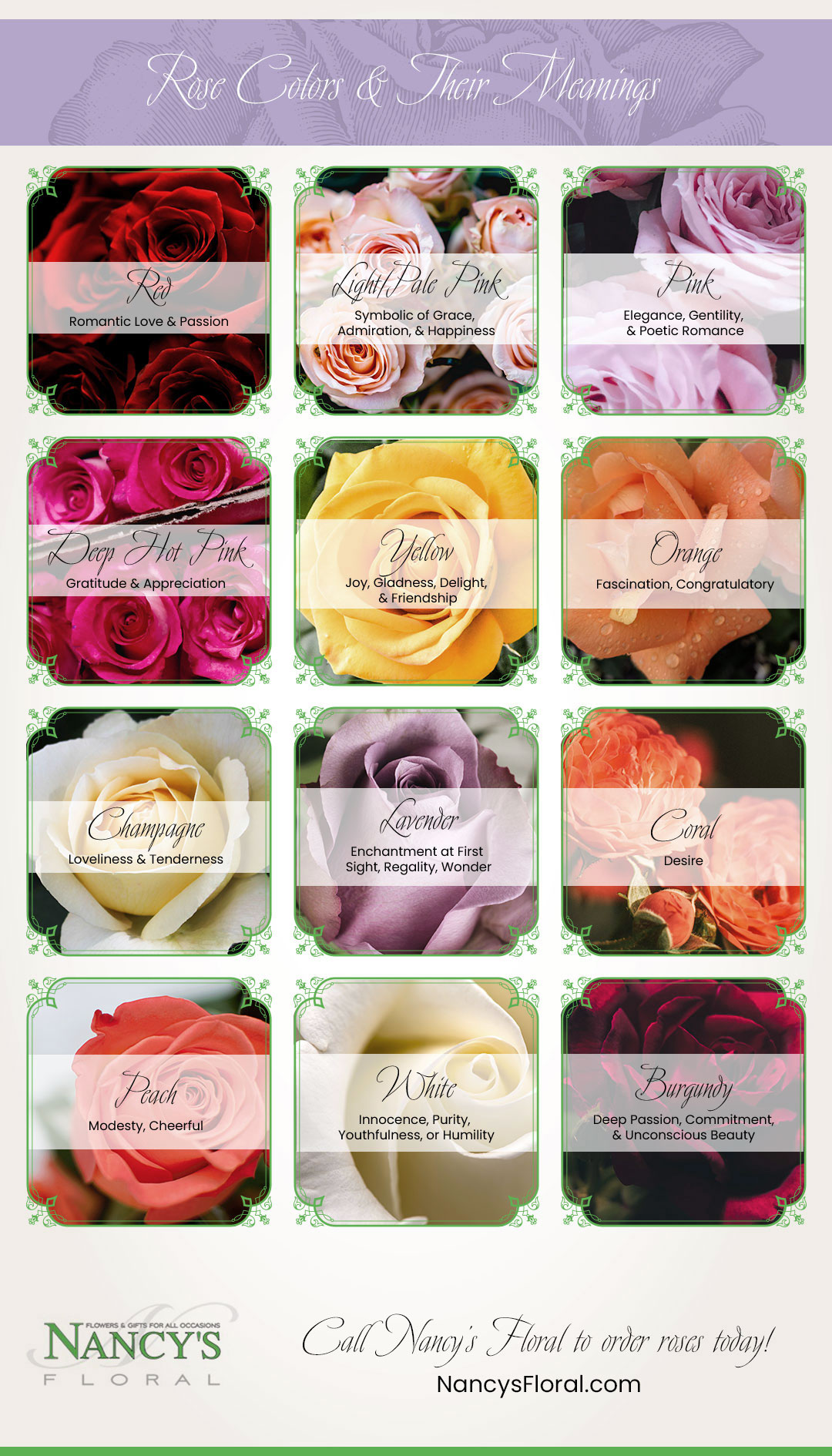 Rose Color Meanings