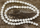 15" Strand Approx. 6mm Freshwater Shell (Bleached) Flower Beads