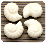 4pc Approx. 12x15mm Handmade Glazed Porcelain Nautilus Bead, Ivory