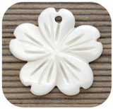1pc 18mm Freshwater Shell Carved Flower Pendant (See Photos for Variation)