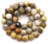 Approx. 15" Strand 8mm Crazy Lace Agate Round Beads