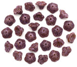 Approx. 5-Gram Bag of 7x5mm Czech Pressed Glass Mini Petunia Flower Beads, Alabaster w/Lavender Spice