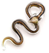 Approx. 67x33mm Lampwork Glass Snake Pendant, Crystal w/Copper & Black