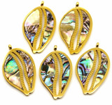 28x17mm  Stainless Steel & Abalone (Assembled) Cowrie Shell Pendant, Gold