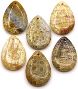 1pc Approx. 35x25mm Fossil Coral Teardrop Pendant (See Photos for Variation)