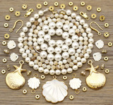 ANNIVERSARY SALE #3: Scallop Shell Value Bundle
