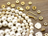 ANNIVERSARY SALE #3: Scallop Shell Value Bundle
