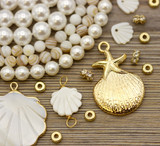 ANNIVERSARY SALE #3: Scallop Shell Value Bundle