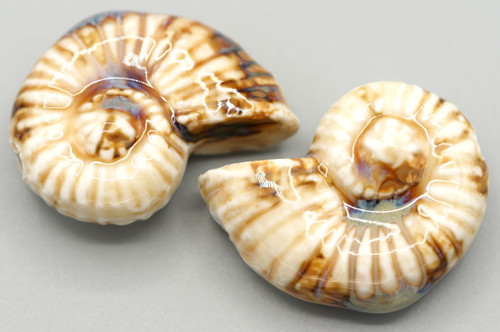 2pc Approx. 40x32mm Handmade Glazed Porcelain Nautilus Bead