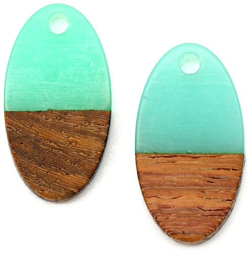 2pc 20x11mm Resin & Wood Oval Pendant, Aqua/Walnut