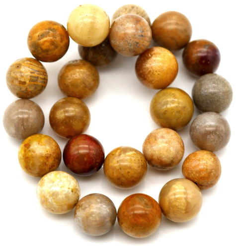 Approx. 7.5" 8mm Fossil Coral Round Beads