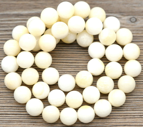 Approx. 15.5" Strand 8mm Tridacna Shell Beads, Ivory