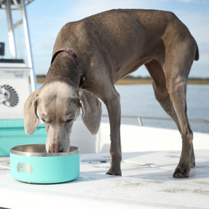 Toadfish Non-tipping Dog Bowl Toadfish Non-tipping Dog Bowl