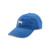 Yellow Lab Needlepoint Hat - Royal