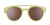 Fossil Finding Focals Fossil Finding Focals