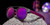The New Prospector The New Prospector