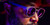 The New Prospector The New Prospector