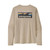Men's Long-Sleeved Capilene Cool Daily Graphic Shirt - Waters