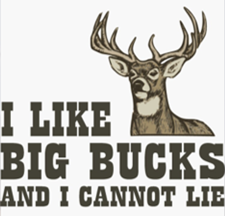 I Like Big Bucks And I Cannot Lie