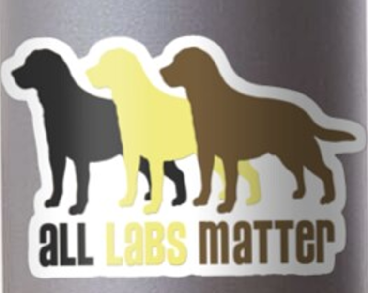 All Labs Matter