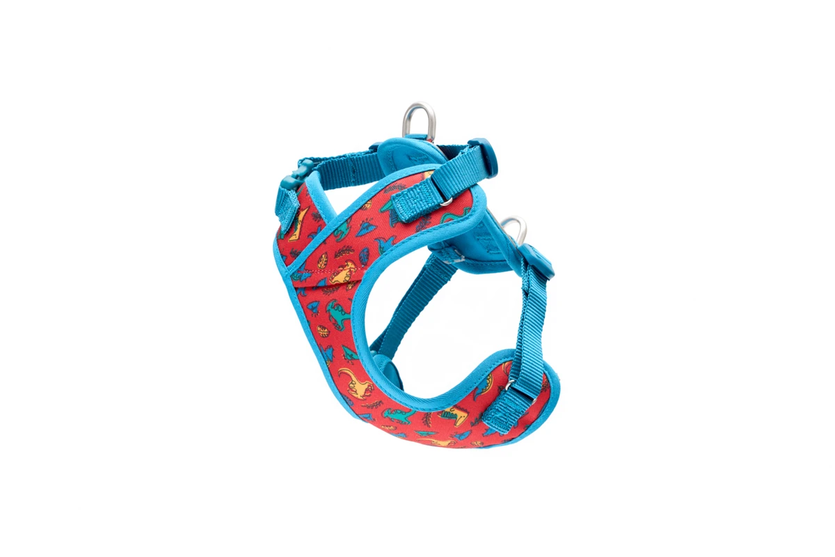 Petite Explorer Harness - Jurassic Pack