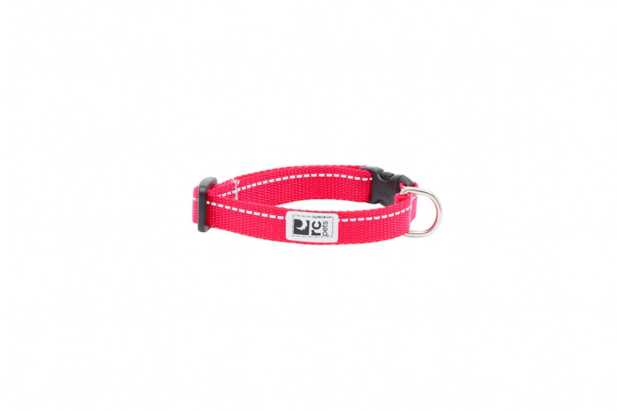 Primary Petite Clip Collar - Azalea