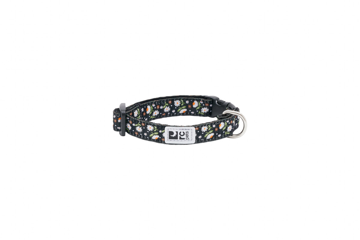 Petite Clip Collar - Daises