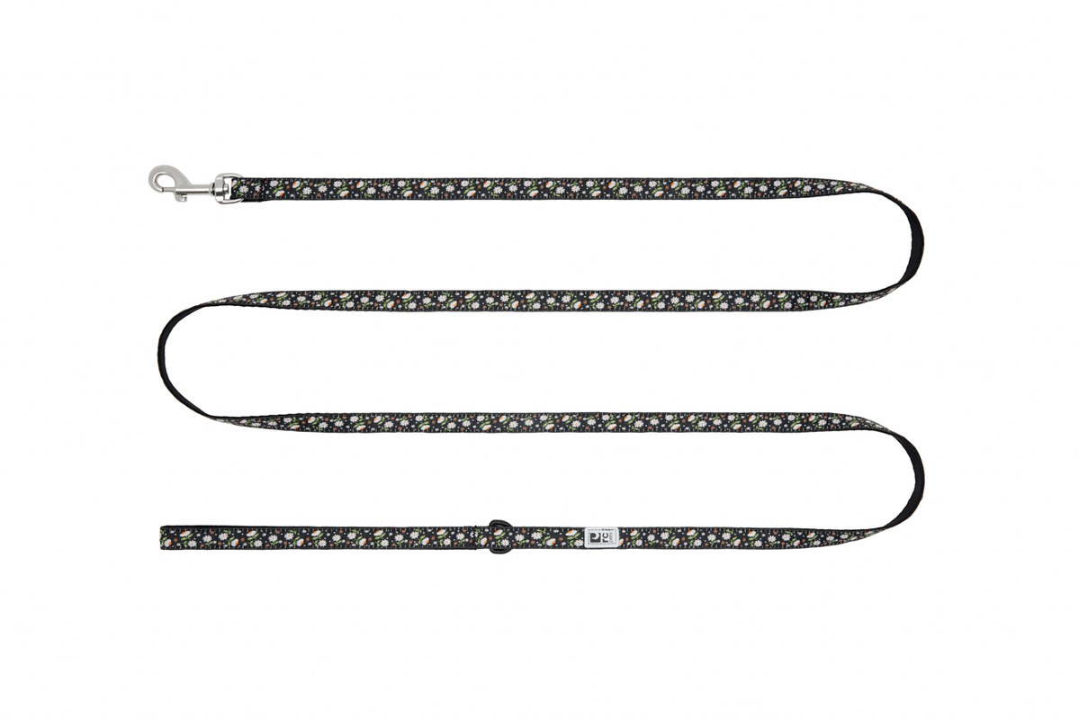Petite Leash - Daises 347 Petite Leash - Daises 347