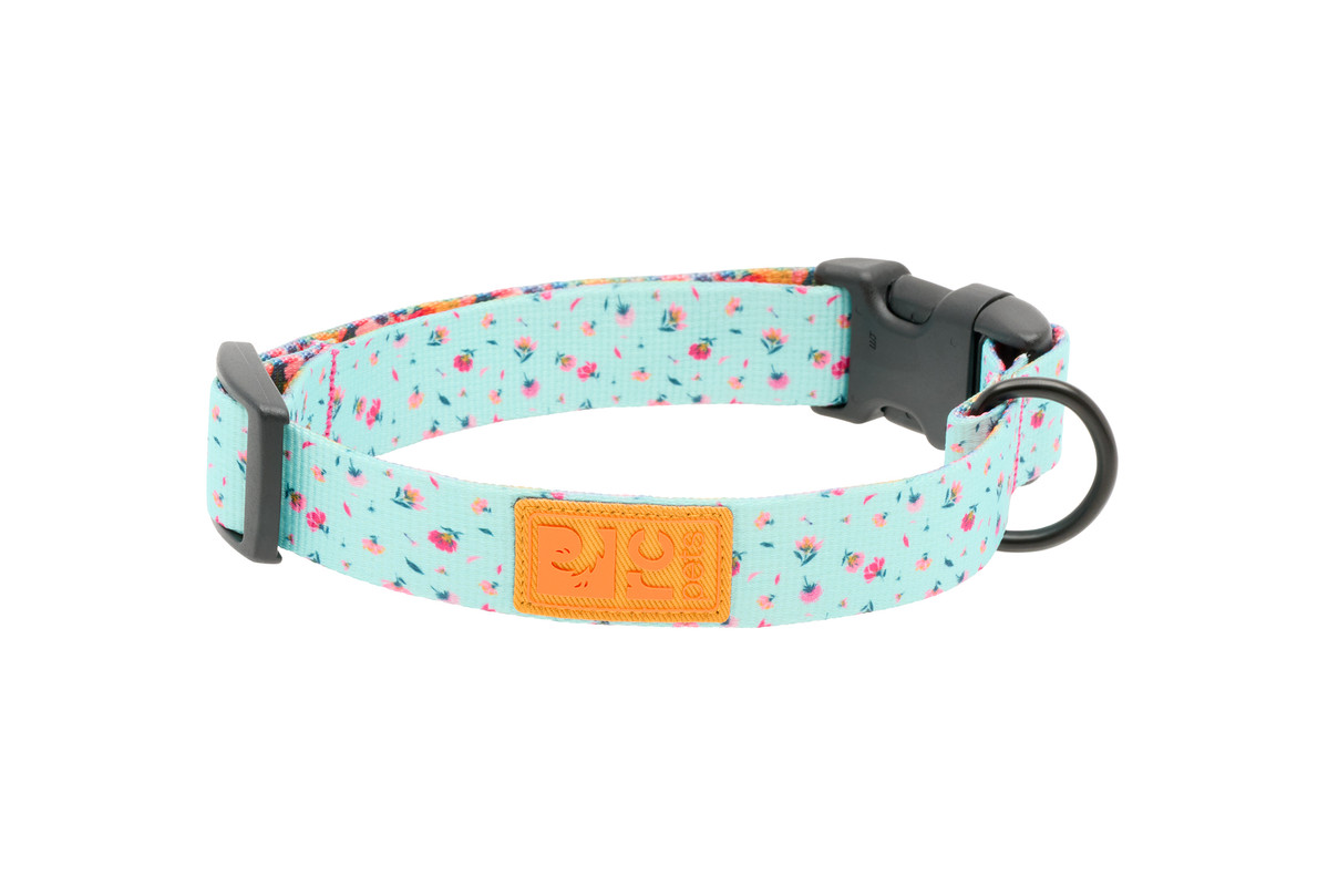 Eco Clip Collar - Dainty Mint