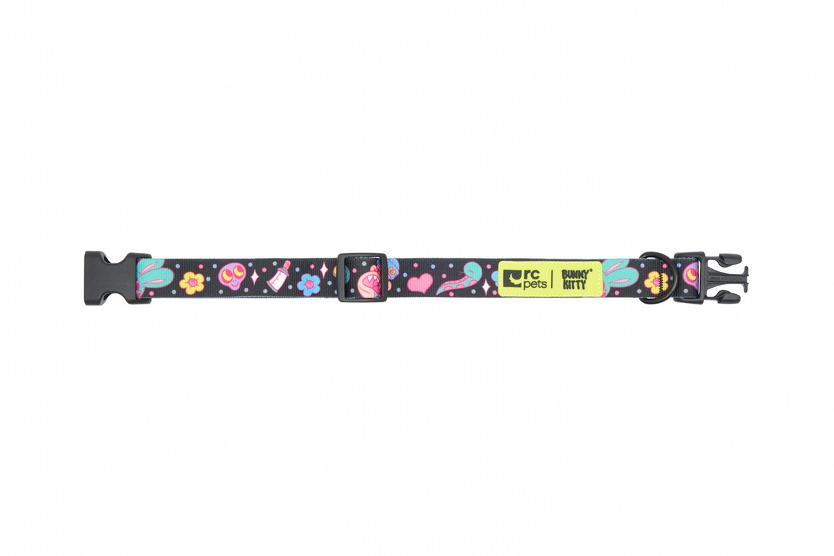 Artist Series Collar - Persue - Image 3 Artist Series Collar - Persue - Image 3