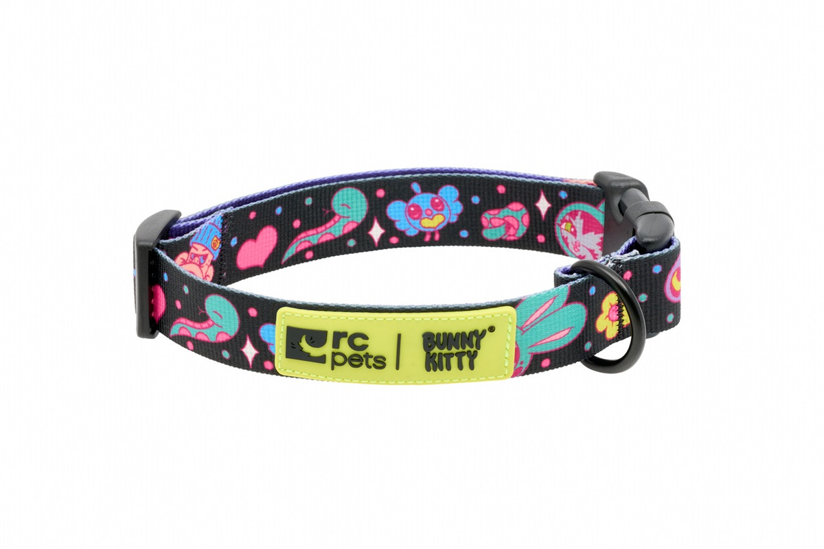 Artist Series Collar - Persue - Image 1 Artist Series Collar - Persue - Image 1