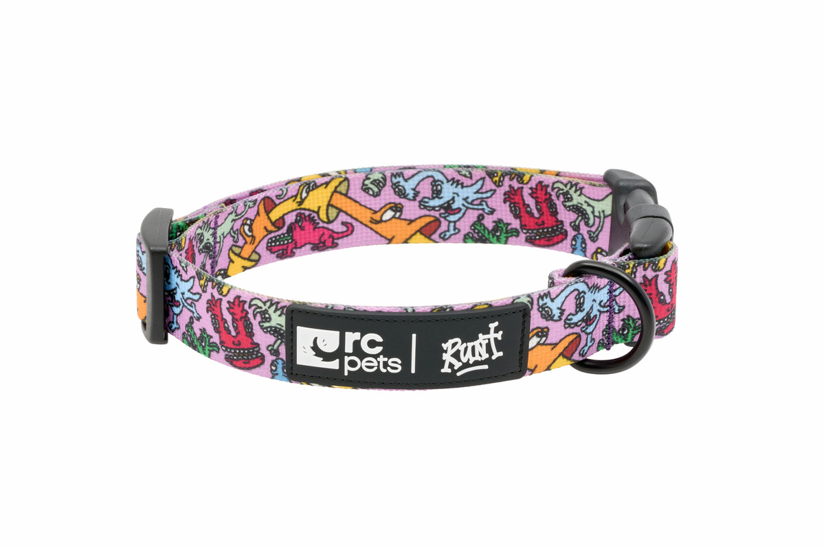 Artist Series Collar - Runt - Image 1 Artist Series Collar - Runt - Image 1