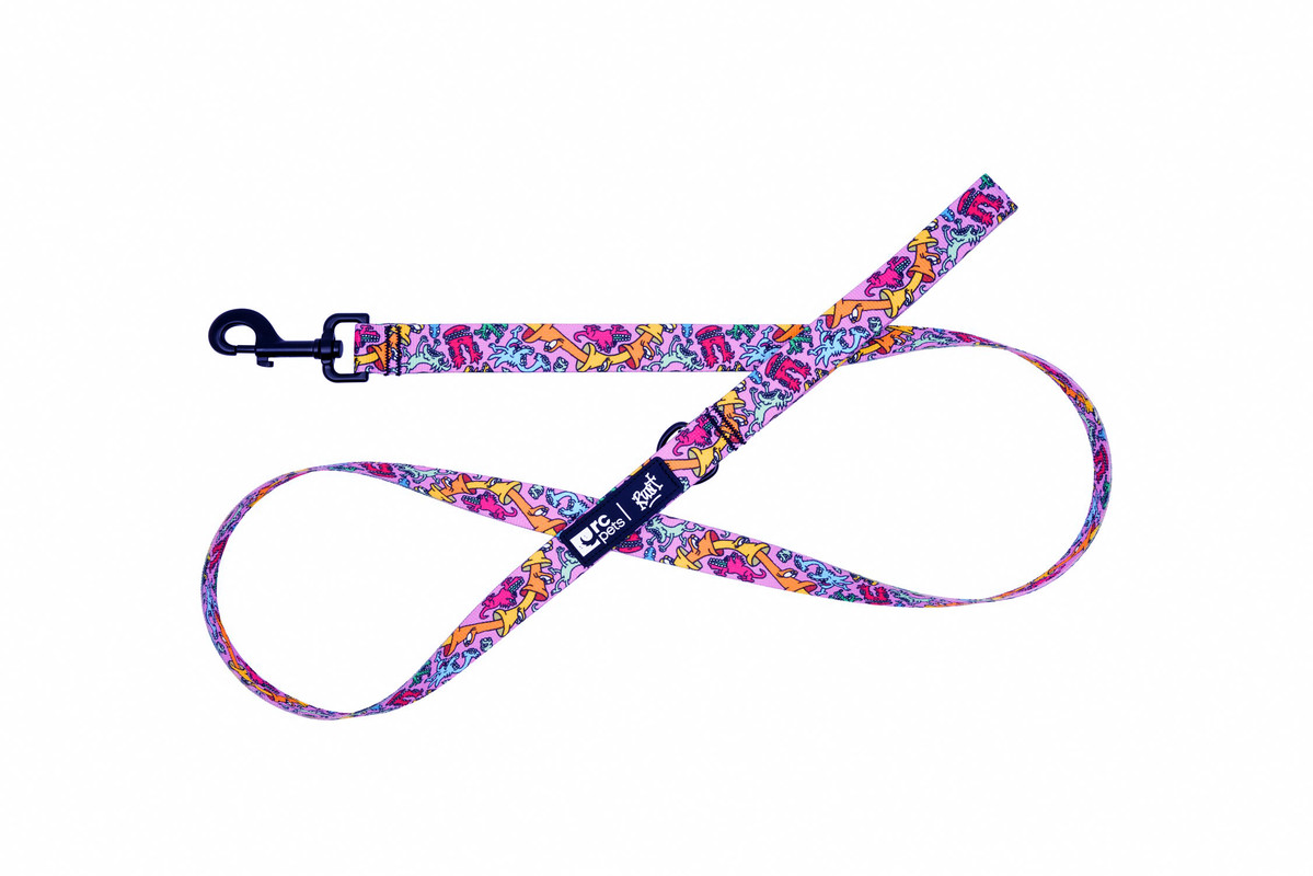 Artist Series Leash - Runt - Image 3