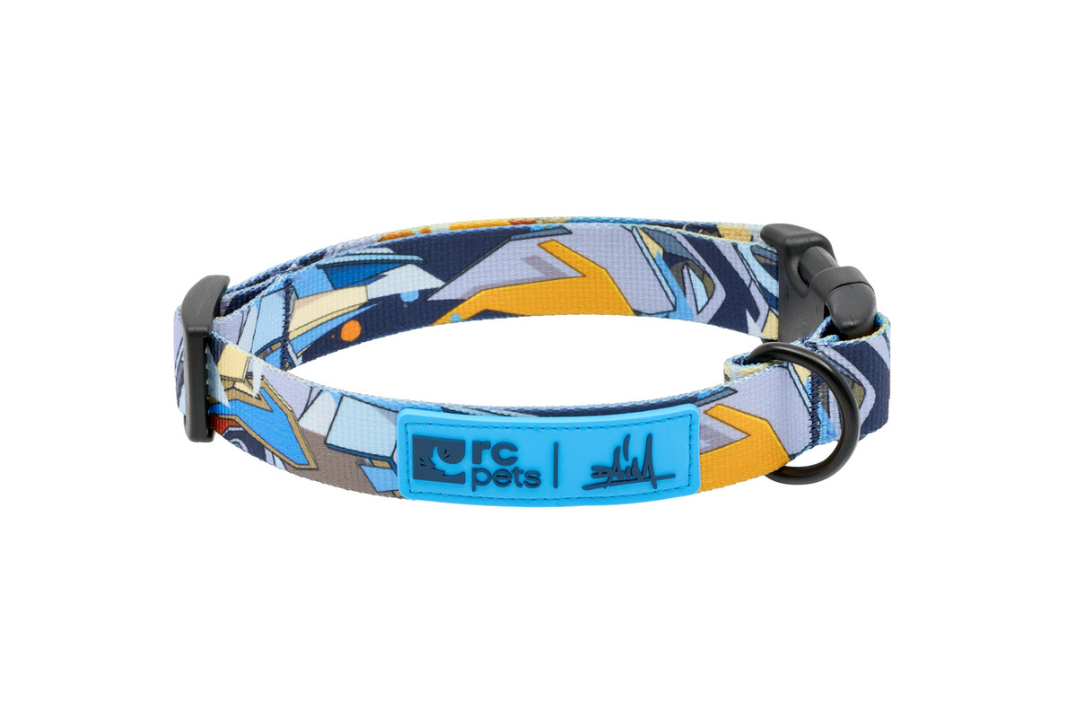 Artist Series Collar - Daim - Image 1