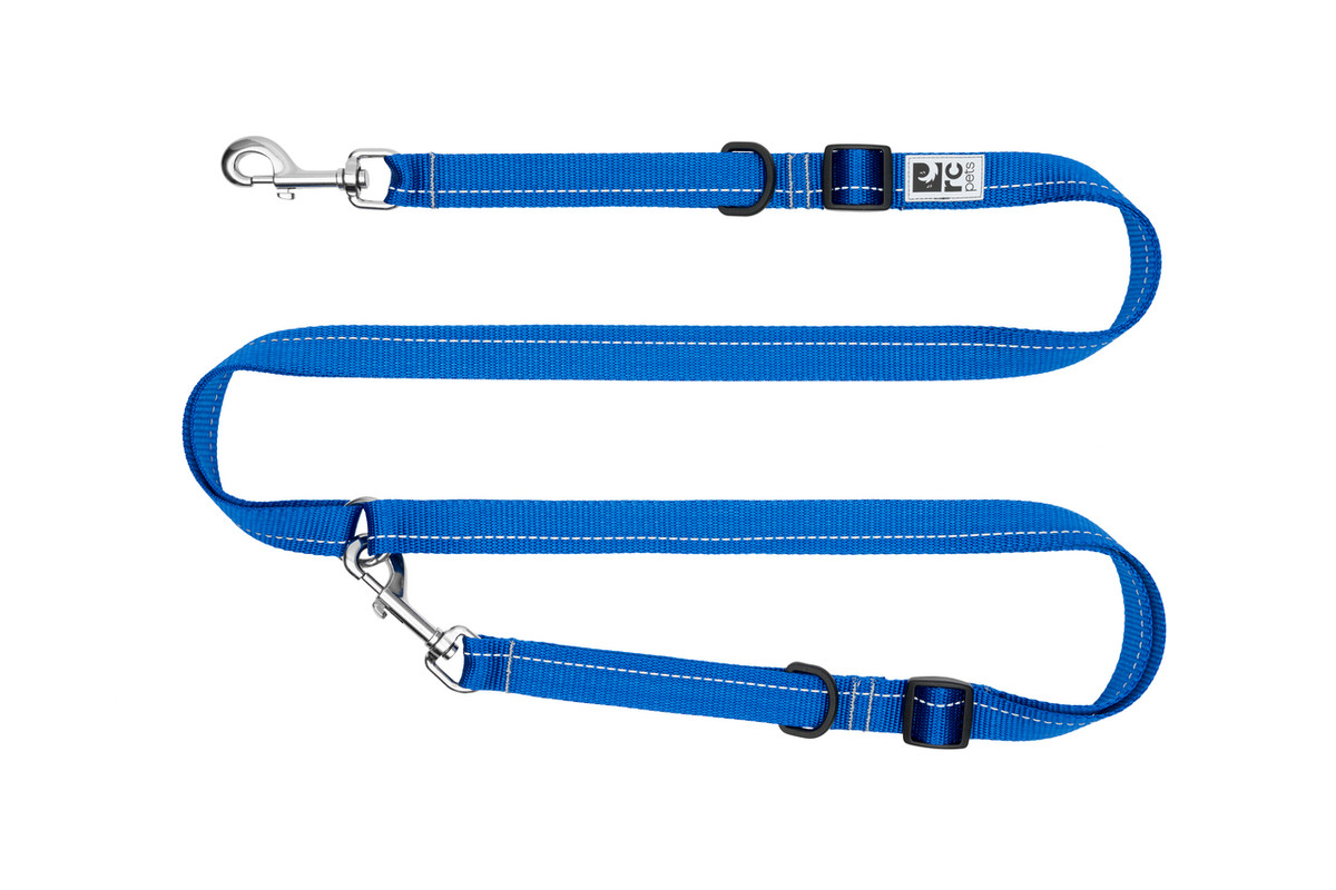 Primary Active Leash - Sapphire