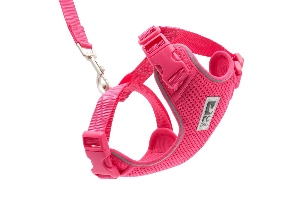 Adventure Kitty Harness - Azalea